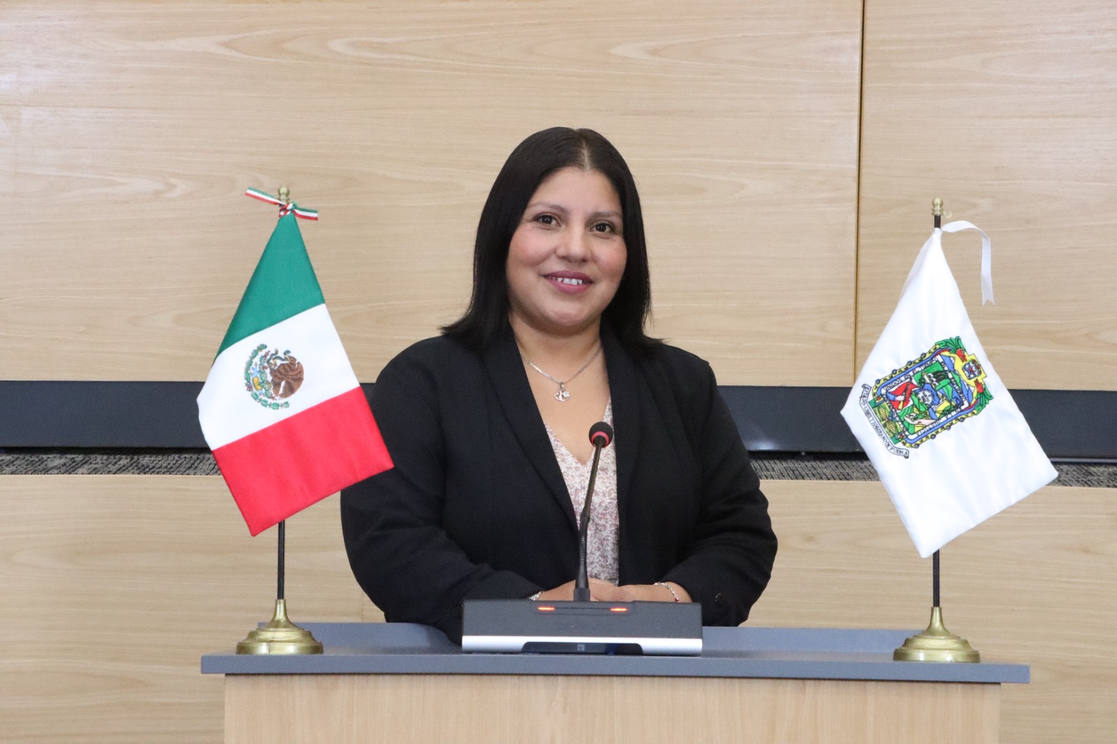 Fotografía de la diputada Elisa Limon Balderrabano