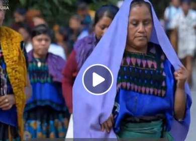 Amalia Bonifacio Jacinto: lucha, representación y justicia social. Defensora de los derechos indígenas y de la igualdad de género, ha dedicado su trayectoria a la construcción de espacios de autonomía y desarrollo.