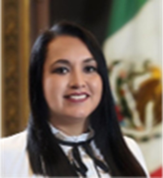 La imagen muestra a una mujer con cabello largo y oscuro, quien lleva una camisa color blanco, de fondo se muestra la bandera de México, ella es Estefanía Rodríguez Sandoval ha sido una defensora clave de los derechos de las mujeres y la comunidad LGBT+ en Puebla. Impulsó la Ley Agnes, que reconoce la identidad de género autopercibida, y promovió la despenalización del aborto, buscando garantizar el acceso seguro y gratuito a la interrupción legal del embarazo. Su trabajo legislativo ha sido fundamental en la lucha por la equidad y la justicia social.