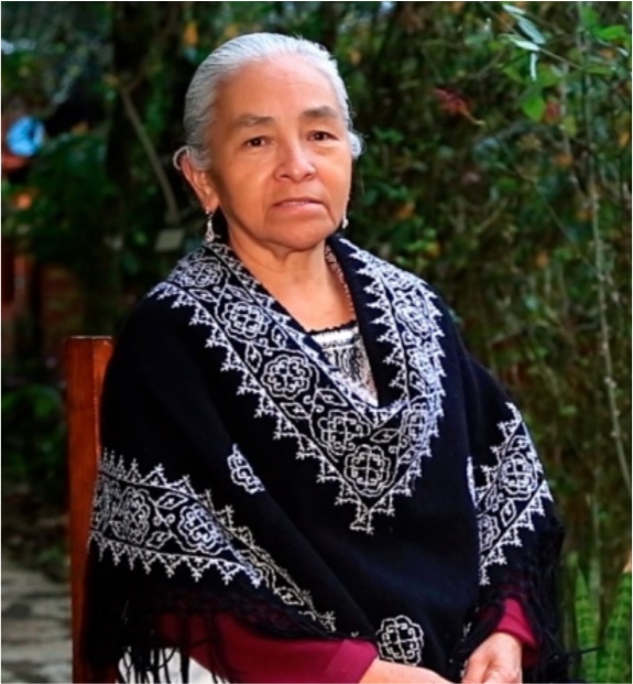 Rufina Edith Villa Hernández, mujer indígena nahua, defensora del territorio, la lengua y los derechos de las mujeres. Desde Cuetzalan, Puebla, fundó el colectivo Masehual Siuamej Mosenyolchikauanij y el Hotel Tazelotzin, gestionado por mujeres indígenas.
                    Su liderazgo comunitario desafía el racismo y el patriarcado.
                    Su historia es fuerza, raíz y resistencia.